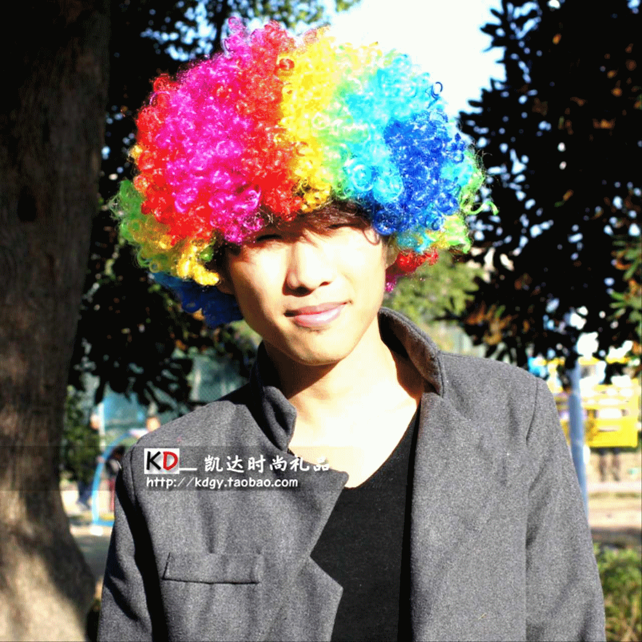 Perruque Premiere explosion - Ref 2612413