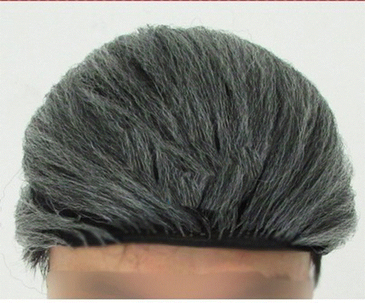Perruque - Ref 2612597