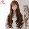 Perruque cheveux longs - Ref 2612934