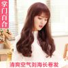 Perruque VIVIAN cheveux longs - Ref 2613182