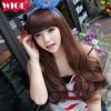 Perruque BASAWIG cheveux longs - Ref 2613333