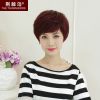 Perruque cheveux raides Court - Ref 2613445