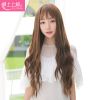 Perruque cheveux longs - Ref 2613468