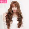 Perruque cheveux longs - Ref 2613475
