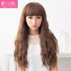 Perruque cheveux longs - Ref 2613487