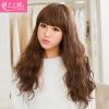 Perruque cheveux longs - Ref 2613491