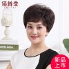 Perruque cheveux courts - Ref 2613666