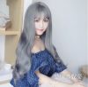Perruque cheveux longs - Ref 2614388