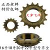 Pignon de vélo CAMPAGNOLO - Ref 2361290