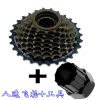 Pignon de vélo - Ref 2364050