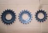 Pignon de vélo - Ref 2364762