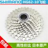 Pignon de vélo SHIMANO - Ref 2364817