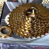 Pignon de vélo CAMPAGNOLO - Ref 2366510