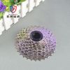 Pignon de vélo SUNSHINE - Ref 2369185