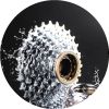Pignon de vélo 8 vitesses - Ref 2369598