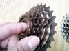 Pignon de vélo BECAUSE - Ref 2372777