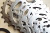 Pignon de vélo 8 vitesses CAMPAGNOLO - Ref 2374901