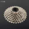 Pignon de vélo CAMPAGNOLO - Ref 2376403