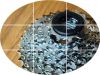 Pignon de vélo SRAM - Ref 2376554