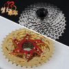 Pignon de vélo CAMPAGNOLO - Ref 2378619