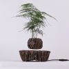 Plante suspension en levitation - Ref 3423896