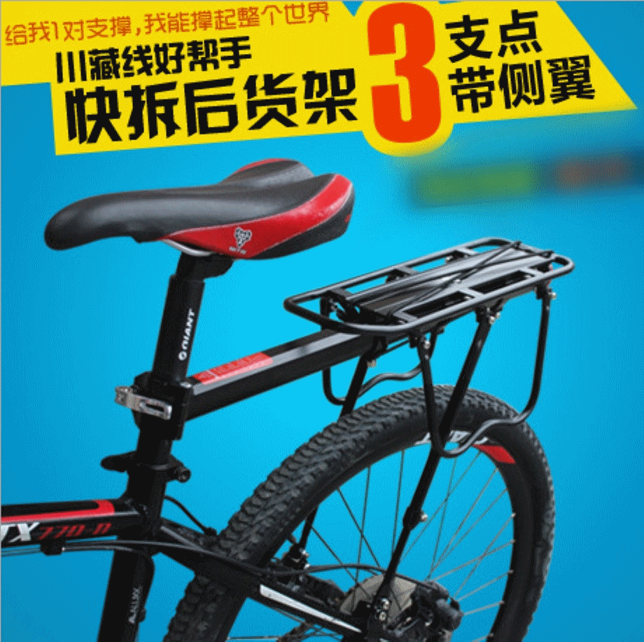 Porte-bagages pour vélo - Ref 2410062