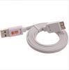 Prolongateur USB - Ref 442139