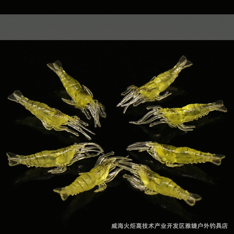 Protection sport - Ref 584890