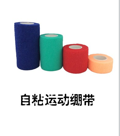 Protection sport - Ref 586407