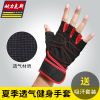 Protection sport - Ref 594301