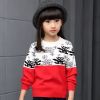 Pull fille - Ref 2104601