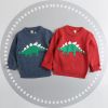 Pull garcon - Ref 2101334