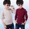 Pull garcon - Ref 2101490