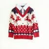 Pull garcon - Ref 2101718
