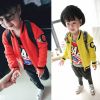 Pull garcon - Ref 2101750