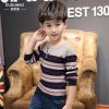 Pull garcon - Ref 2101768