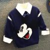 Pull garcon - Ref 2101903
