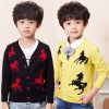 Pull garcon - Ref 2102231