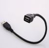 Rallonge USB - Ref 435196