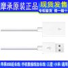 Rallonge USB - Ref 436436