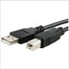 Rallonge USB - Ref 437545