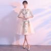 Robe de soirée conventionnel - Ref 3212025