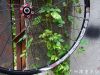 Roues de vélo - Ref 2360762