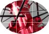 Roues de vélo Mountain Bike SIMPLON 26 pouces - Ref 2363778