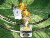 Roues de vélo - Ref 2367162