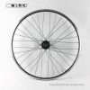 Roues de vélo ALEX DH19 - Ref 2368369