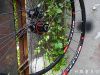 Roues de vélo - Ref 2371659