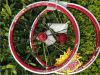Roues de vélo - Ref 2372103