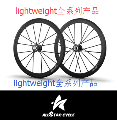 Roues de vélo cyclisme sur route LIGHTWEIGHT - Ref 2377659