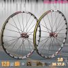 Roues de vélo Mountain Bike - Ref 2384081